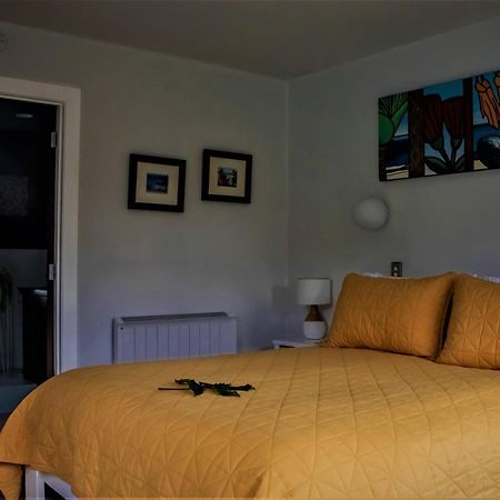 Luxury Stay, Alpaca Farm Paraparaumu Buitenkant foto
