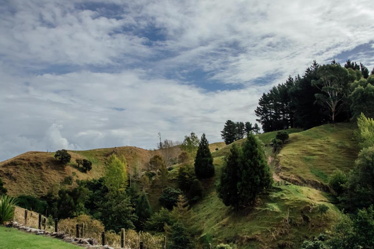 Luxury Stay, Alpaca Farm Paraparaumu Buitenkant foto