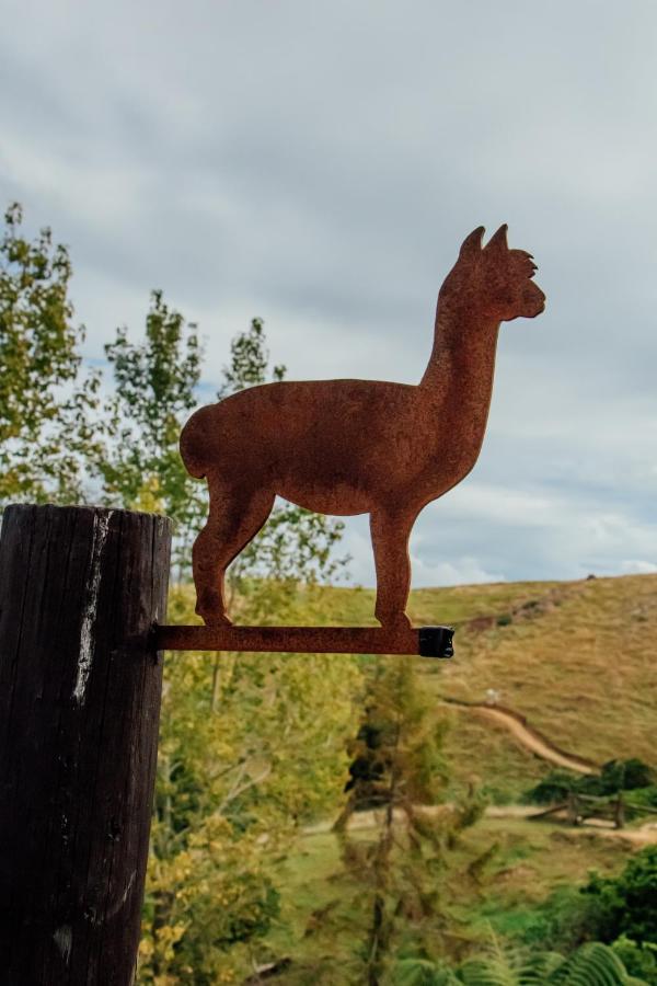 Luxury Stay, Alpaca Farm Paraparaumu Buitenkant foto